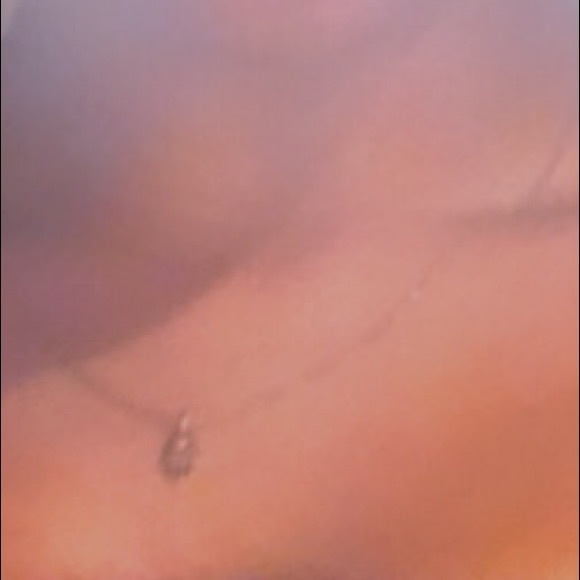 Meet your Posher, Amya - Picture 1 of 1